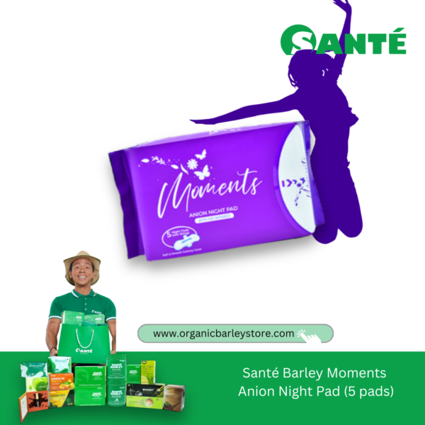 Moments Anion Night Pad