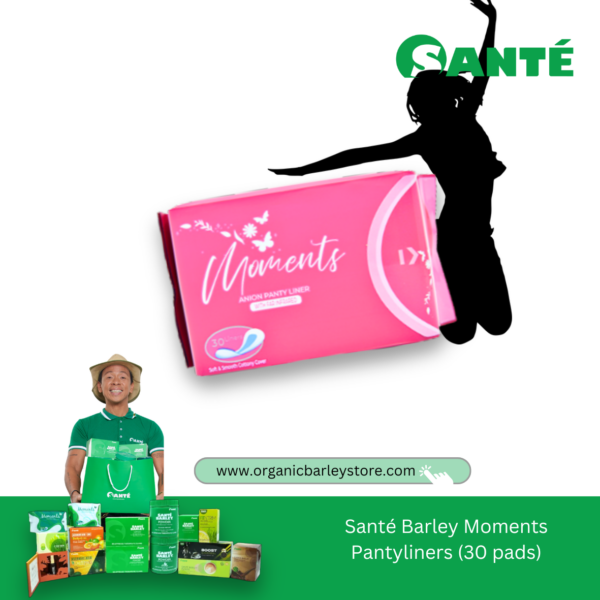 Moments Pantyliners